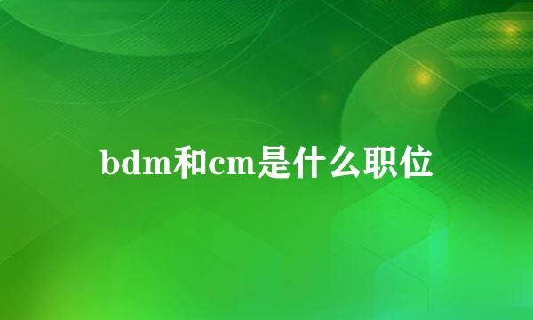 bdm和cm是什么职位