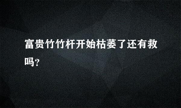 富贵竹竹杆开始枯萎了还有救吗？