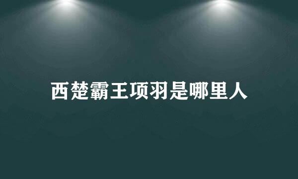 西楚霸王项羽是哪里人