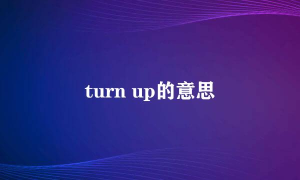 turn up的意思