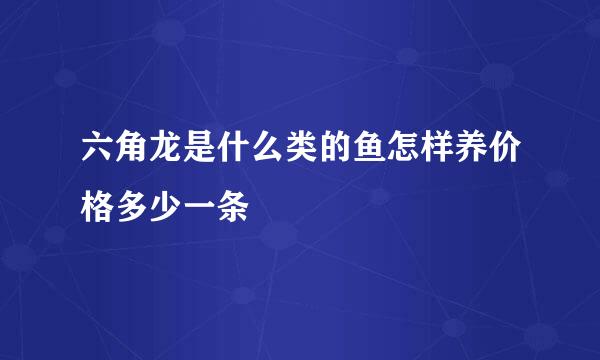 六角龙是什么类的鱼怎样养价格多少一条