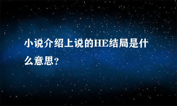 小说介绍上说的HE结局是什么意思？