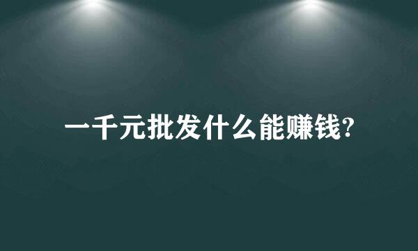 一千元批发什么能赚钱?