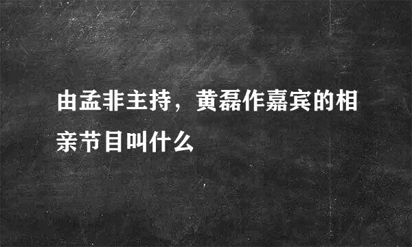 由孟非主持，黄磊作嘉宾的相亲节目叫什么