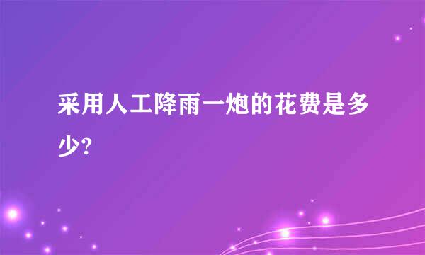 采用人工降雨一炮的花费是多少?