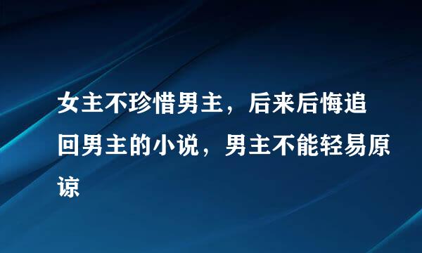 女主不珍惜男主，后来后悔追回男主的小说，男主不能轻易原谅