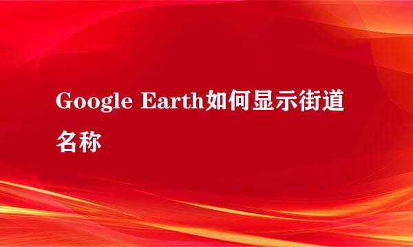 Google Earth如何显示街道名称