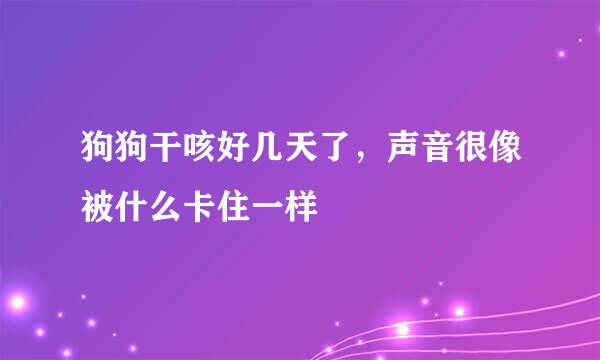 狗狗干咳好几天了，声音很像被什么卡住一样