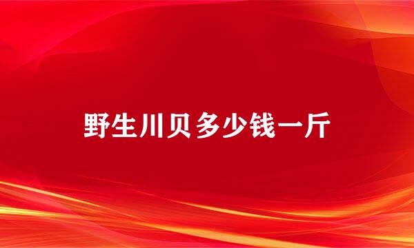 野生川贝多少钱一斤