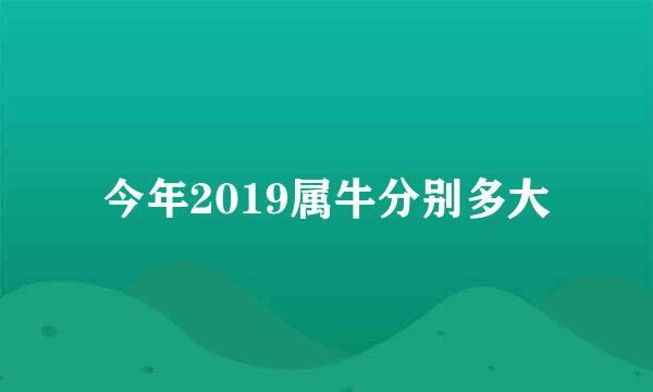 今年2019属牛分别多大