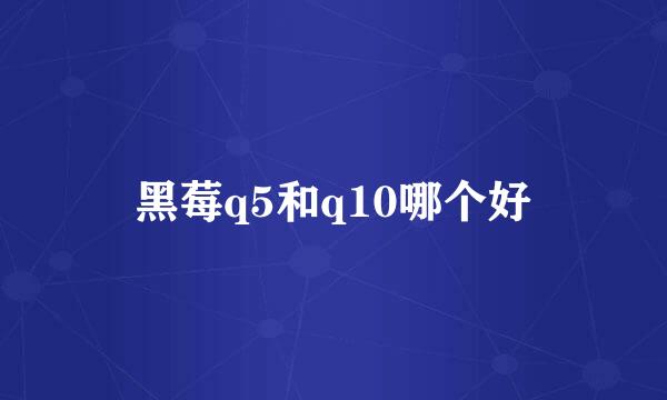 黑莓q5和q10哪个好