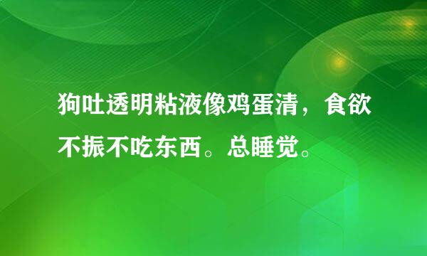 狗吐透明粘液像鸡蛋清，食欲不振不吃东西。总睡觉。