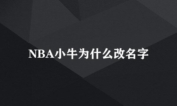 NBA小牛为什么改名字