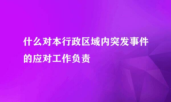 什么对本行政区域内突发事件的应对工作负责