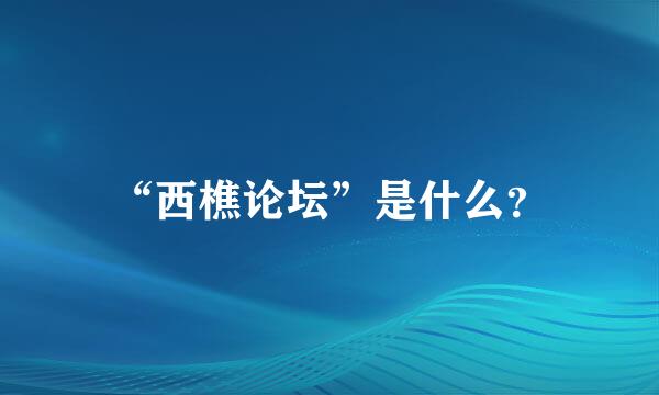 “西樵论坛”是什么？