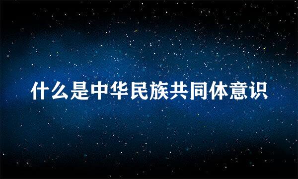 什么是中华民族共同体意识