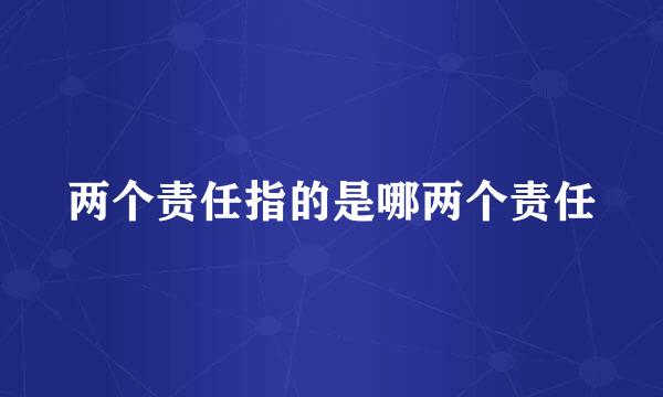 两个责任指的是哪两个责任