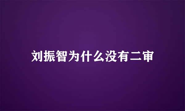 刘振智为什么没有二审