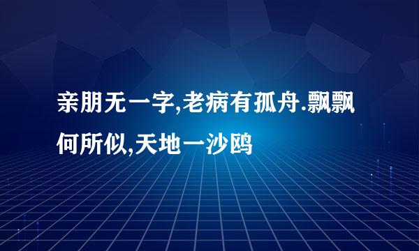 亲朋无一字,老病有孤舟.飘飘何所似,天地一沙鸥