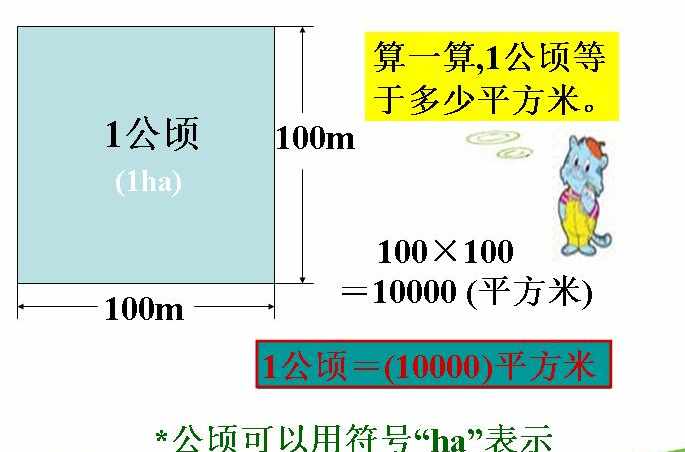 一公顷等于多少