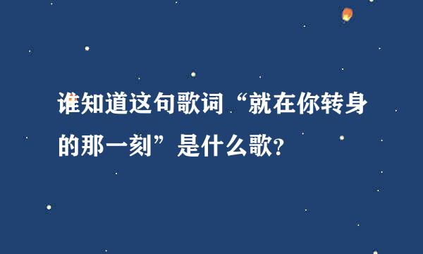 谁知道这句歌词“就在你转身的那一刻”是什么歌？