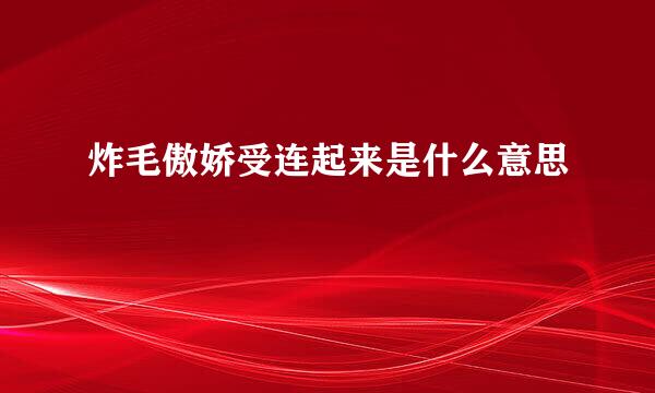 炸毛傲娇受连起来是什么意思