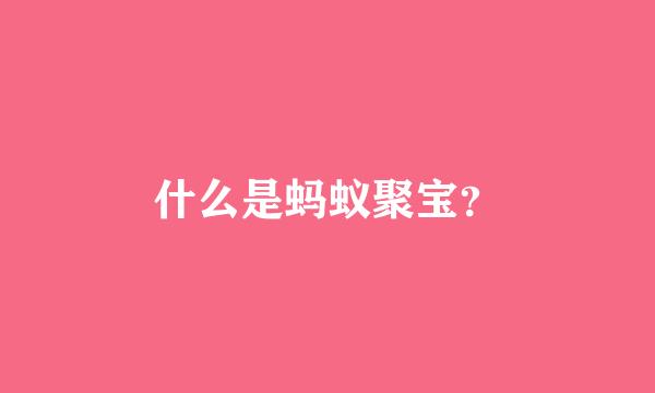 什么是蚂蚁聚宝？