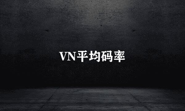 VN平均码率