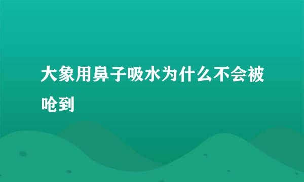 大象用鼻子吸水为什么不会被呛到