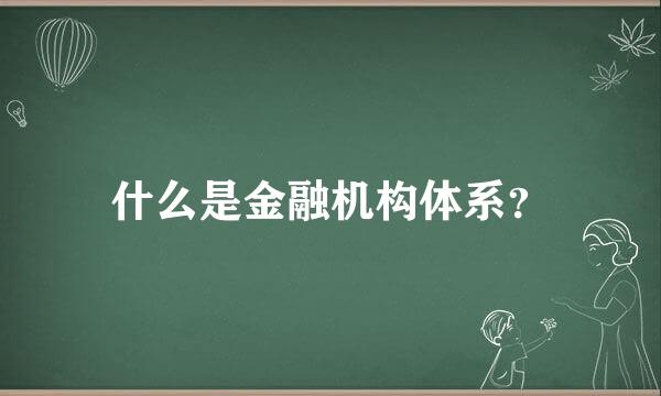 什么是金融机构体系？