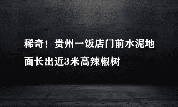 稀奇！贵州一饭店门前水泥地面长出近3米高辣椒树