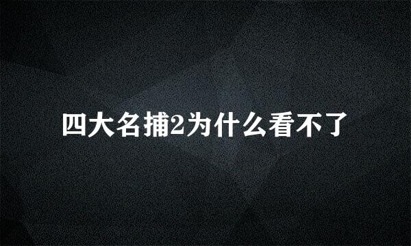 四大名捕2为什么看不了