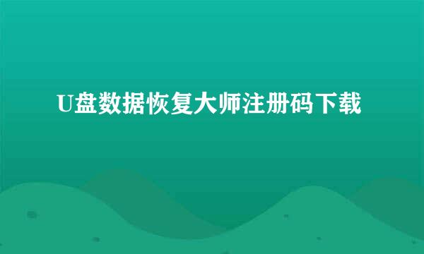 U盘数据恢复大师注册码下载