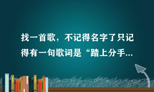 找一首歌，不记得名字了只记得有一句歌词是“踏上分手这条路”