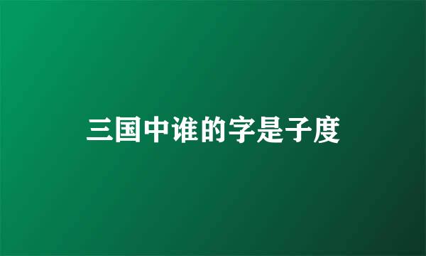 三国中谁的字是子度