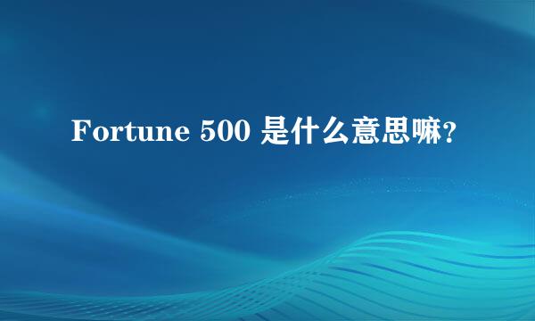 Fortune 500 是什么意思嘛？