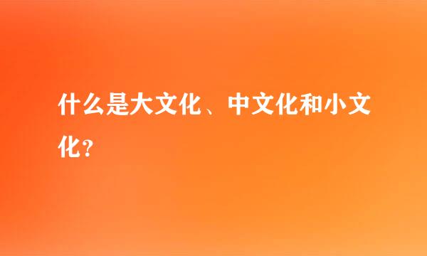 什么是大文化、中文化和小文化？