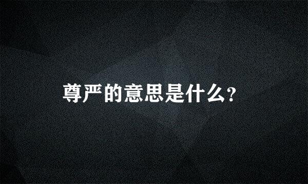 尊严的意思是什么？