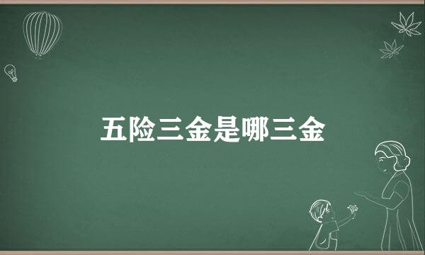 五险三金是哪三金