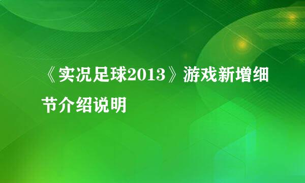 《实况足球2013》游戏新增细节介绍说明