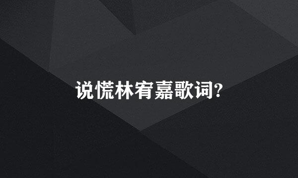 说慌林宥嘉歌词?