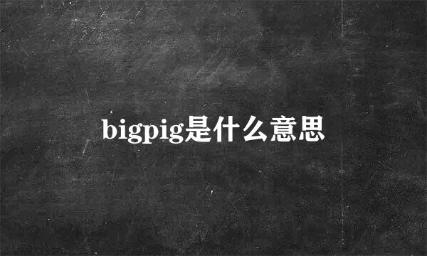 bigpig是什么意思