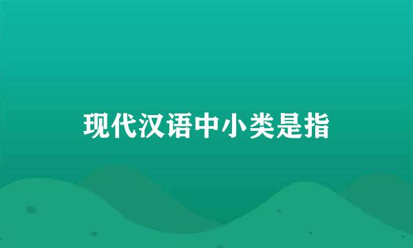 现代汉语中小类是指