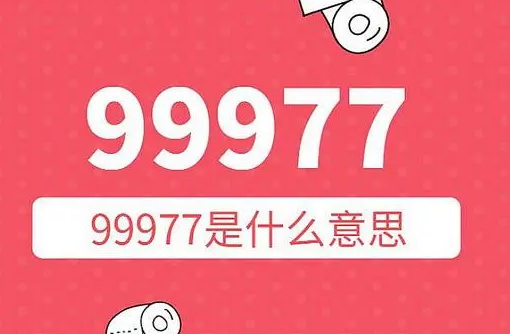 99977的含义