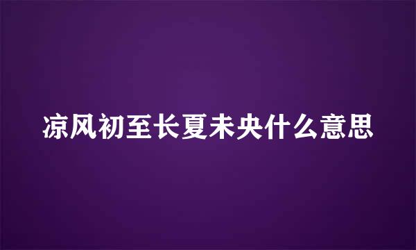 凉风初至长夏未央什么意思