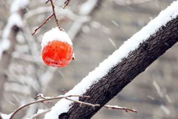 怎么形容雪