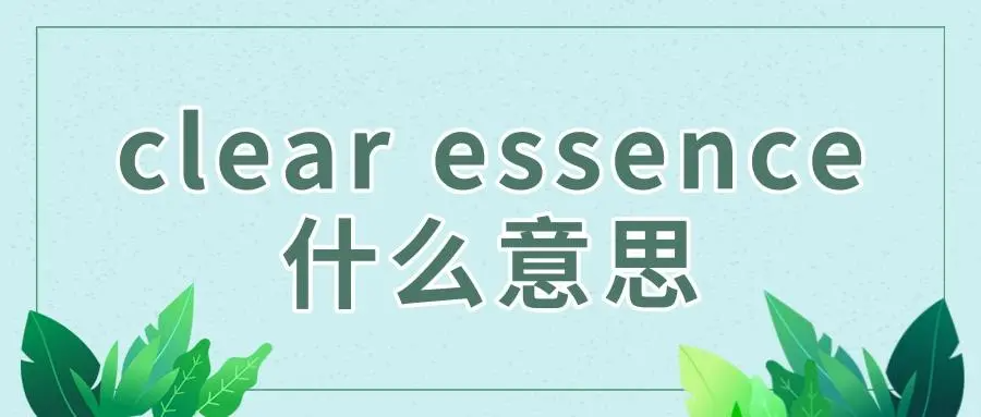 essence是什么意思