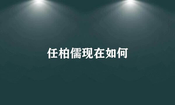 任柏儒现在如何