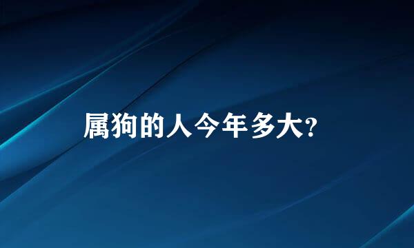 属狗的人今年多大？