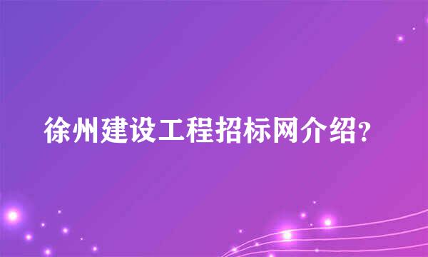 徐州建设工程招标网介绍？